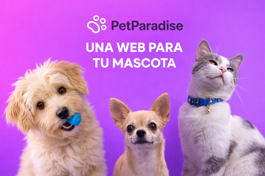PetParadise redesign project preview